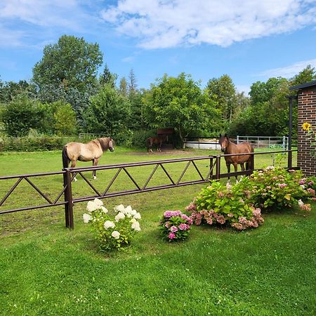 Poggenhagen Urlaub Mitten In Der Natur Neustadt am Rubenberge Bagian luar foto