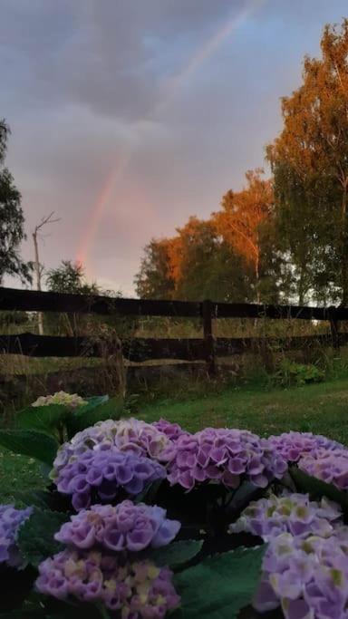 Poggenhagen Urlaub Mitten In Der Natur Neustadt am Rubenberge Bagian luar foto