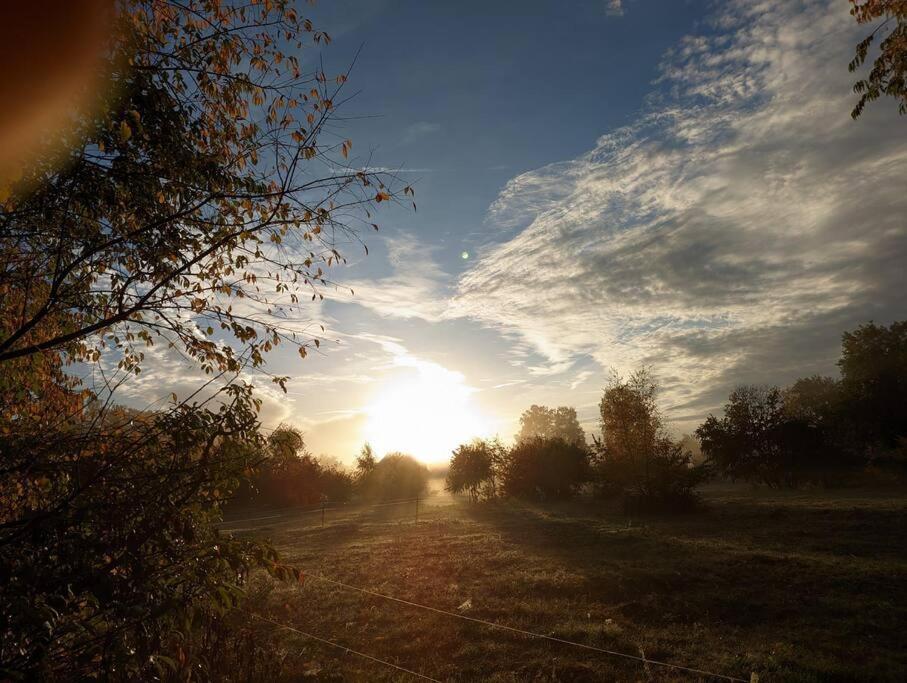 Poggenhagen Urlaub Mitten In Der Natur Neustadt am Rubenberge Bagian luar foto